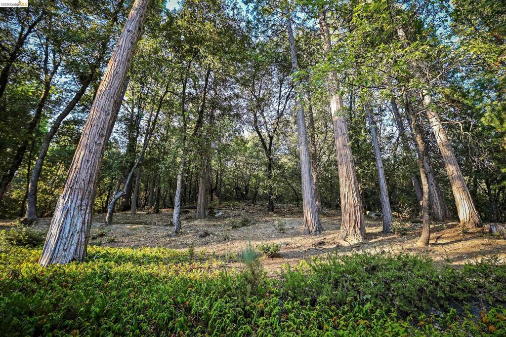 18580 Wildwood Dr, Twain Harte, CA 95383