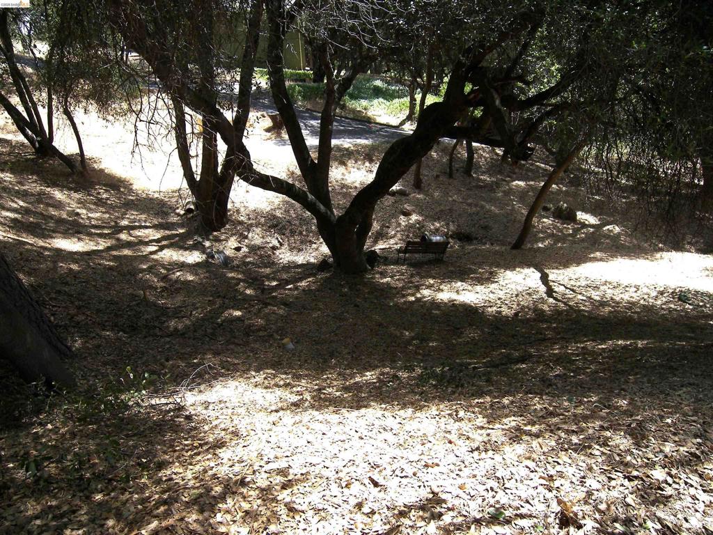 19215 Ferretti Rd., Groveland, CA 95321