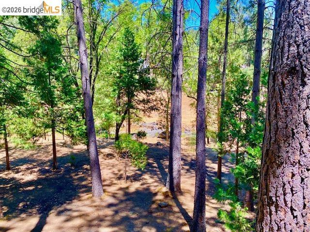 19502 Grizzly Circle, Groveland, CA 95321