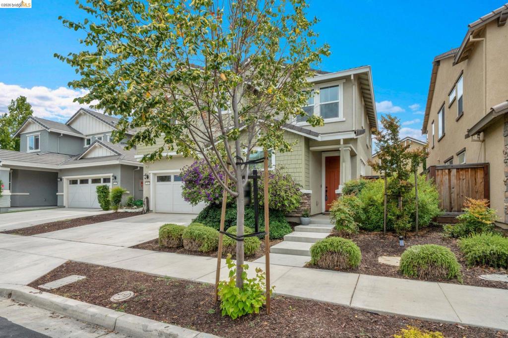 184 Scott Creek Way, Brentwood (CC), CA 94513