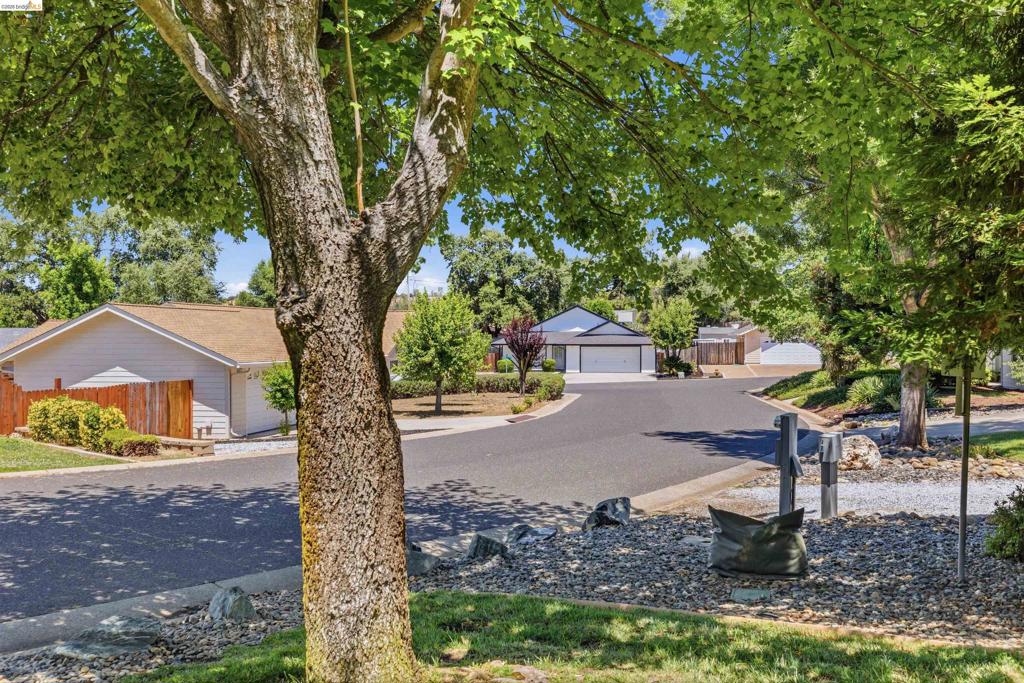 10597 River oak, Jamestown, CA 95327