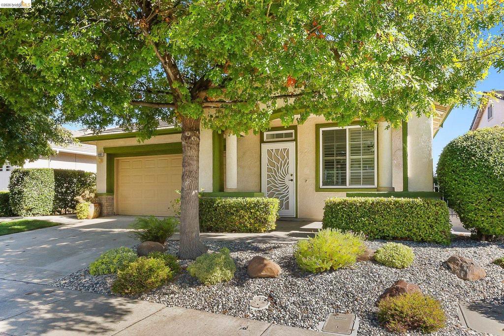 1481 Bismarck Ln, Brentwood (CC), CA 94513