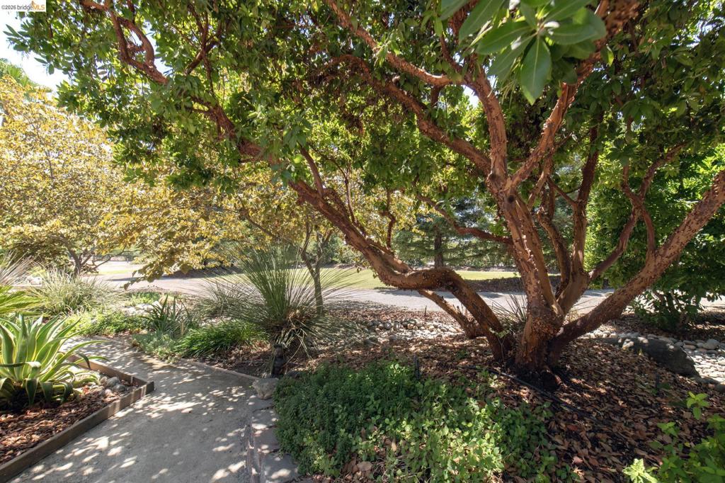 5232 Horseshoe Bend Ave, Clovis, CA 93619