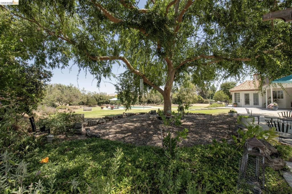 5232 Horseshoe Bend Ave, Clovis, CA 93619