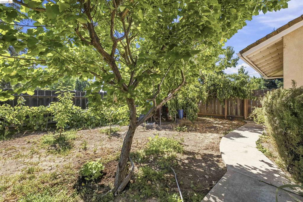 1042 Walnut St, Oakdale, CA 95361