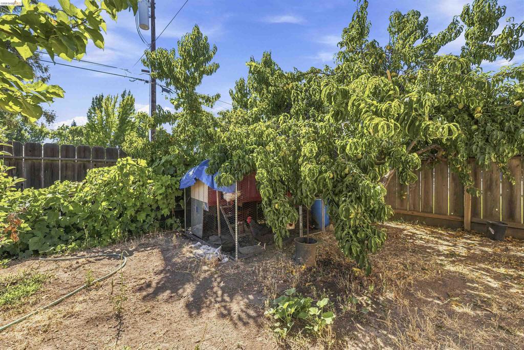 1042 Walnut St, Oakdale, CA 95361