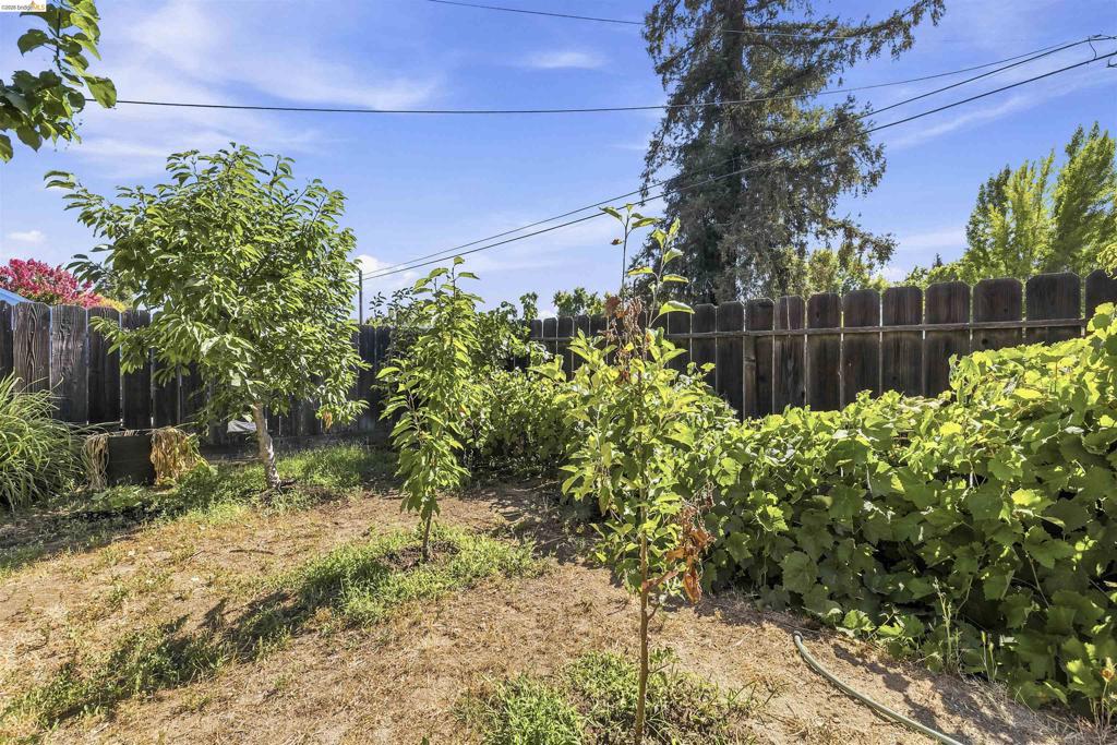 1042 Walnut St, Oakdale, CA 95361