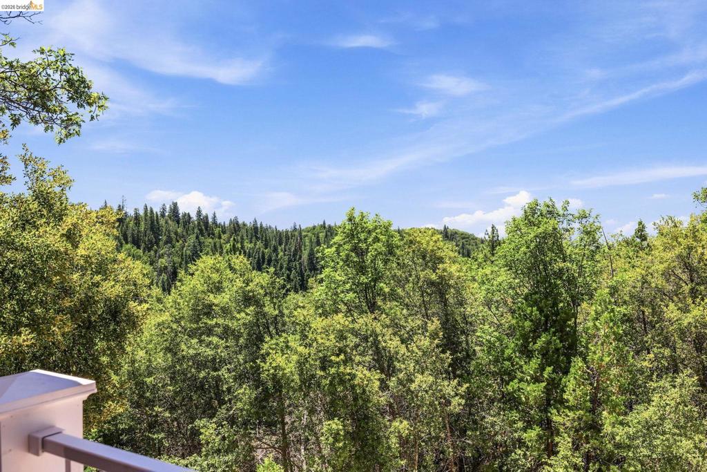23361 Pinewood Ln, Twain Harte, CA 95383