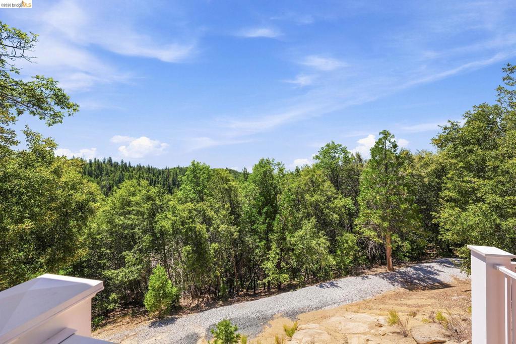 23361 Pinewood Ln, Twain Harte, CA 95383
