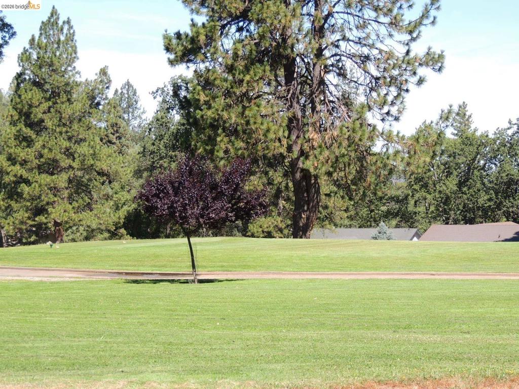 12728 Mount Jefferson St., Groveland, CA 95321
