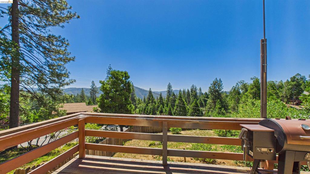 19900 Greenview, Twain Harte, CA 95383-9787