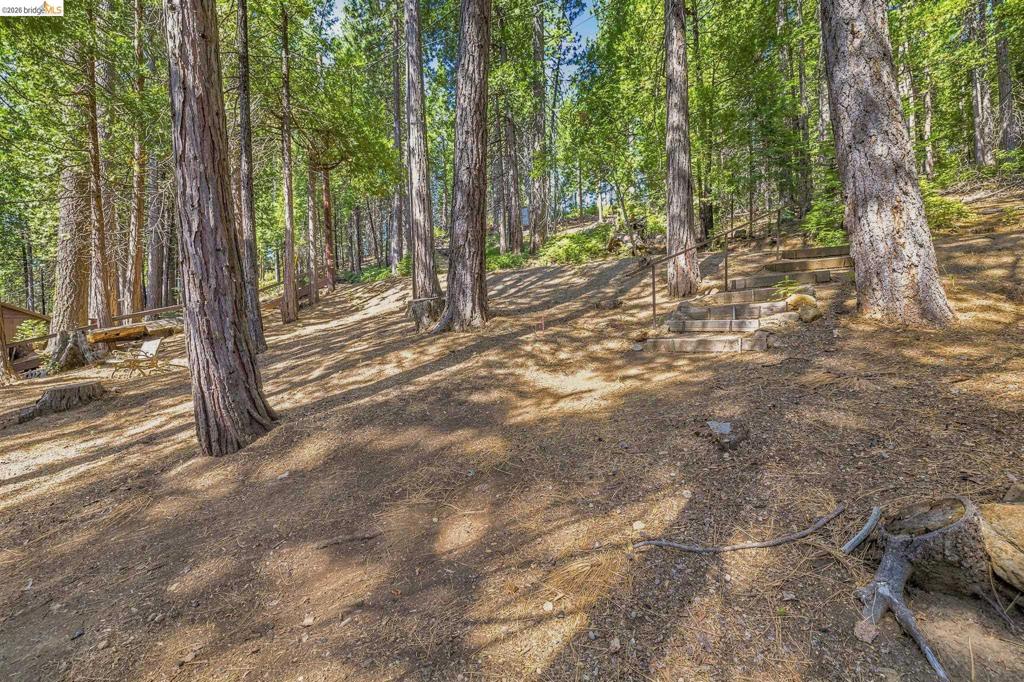 26457 Crystal Rd, Long Barn, CA 95335