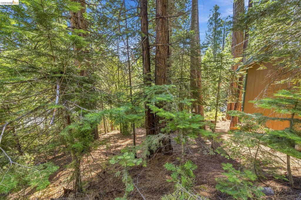 26457 Crystal Rd, Long Barn, CA 95335