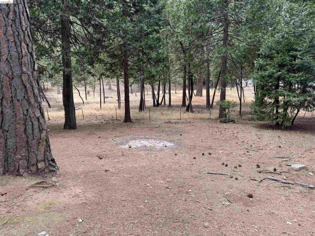 19342 Superior Dr, Twain Harte, CA 95383