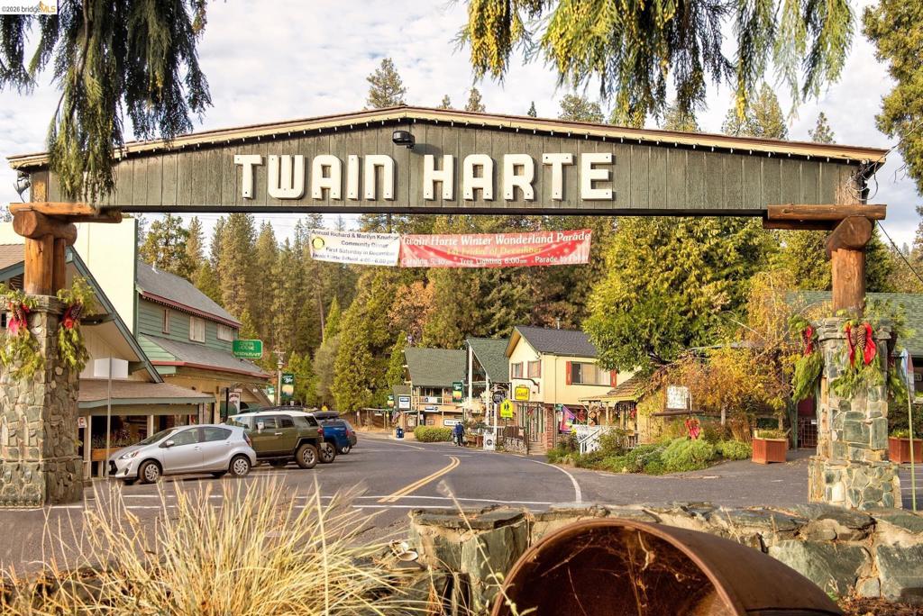 19342 Superior Dr, Twain Harte, CA 95383