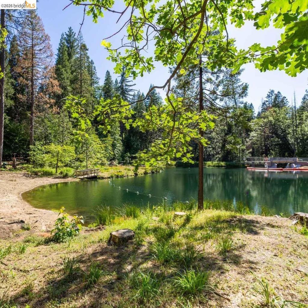 19342 Superior Dr, Twain Harte, CA 95383