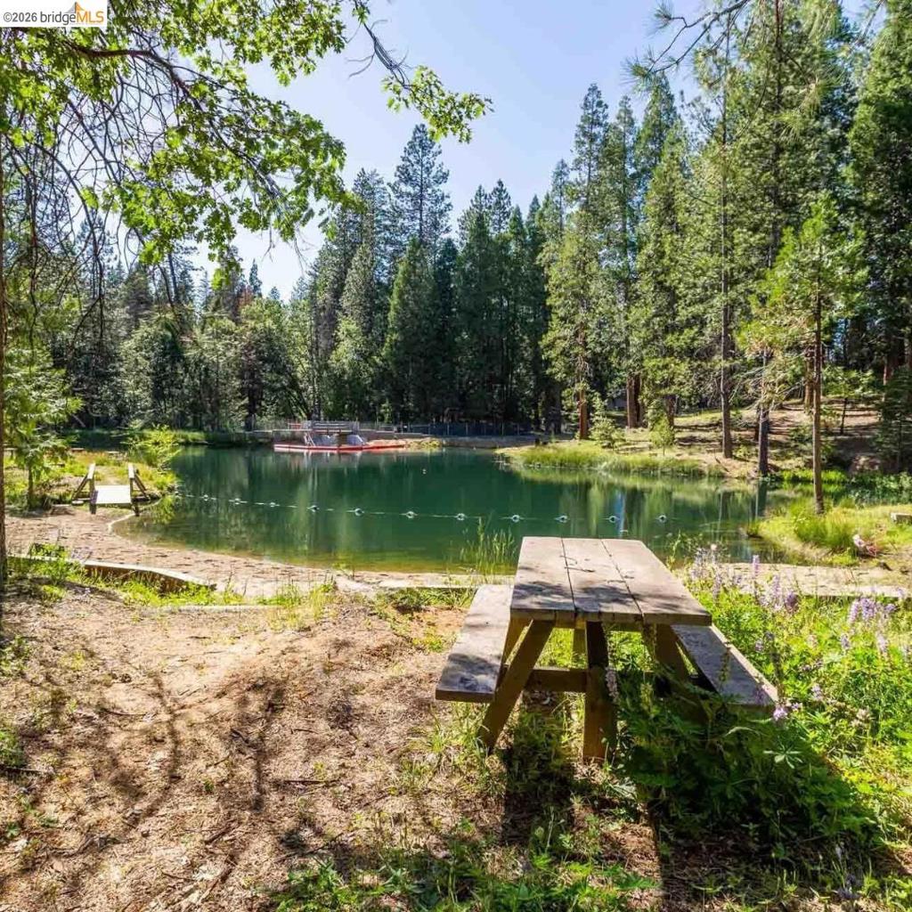 19342 Superior Dr, Twain Harte, CA 95383