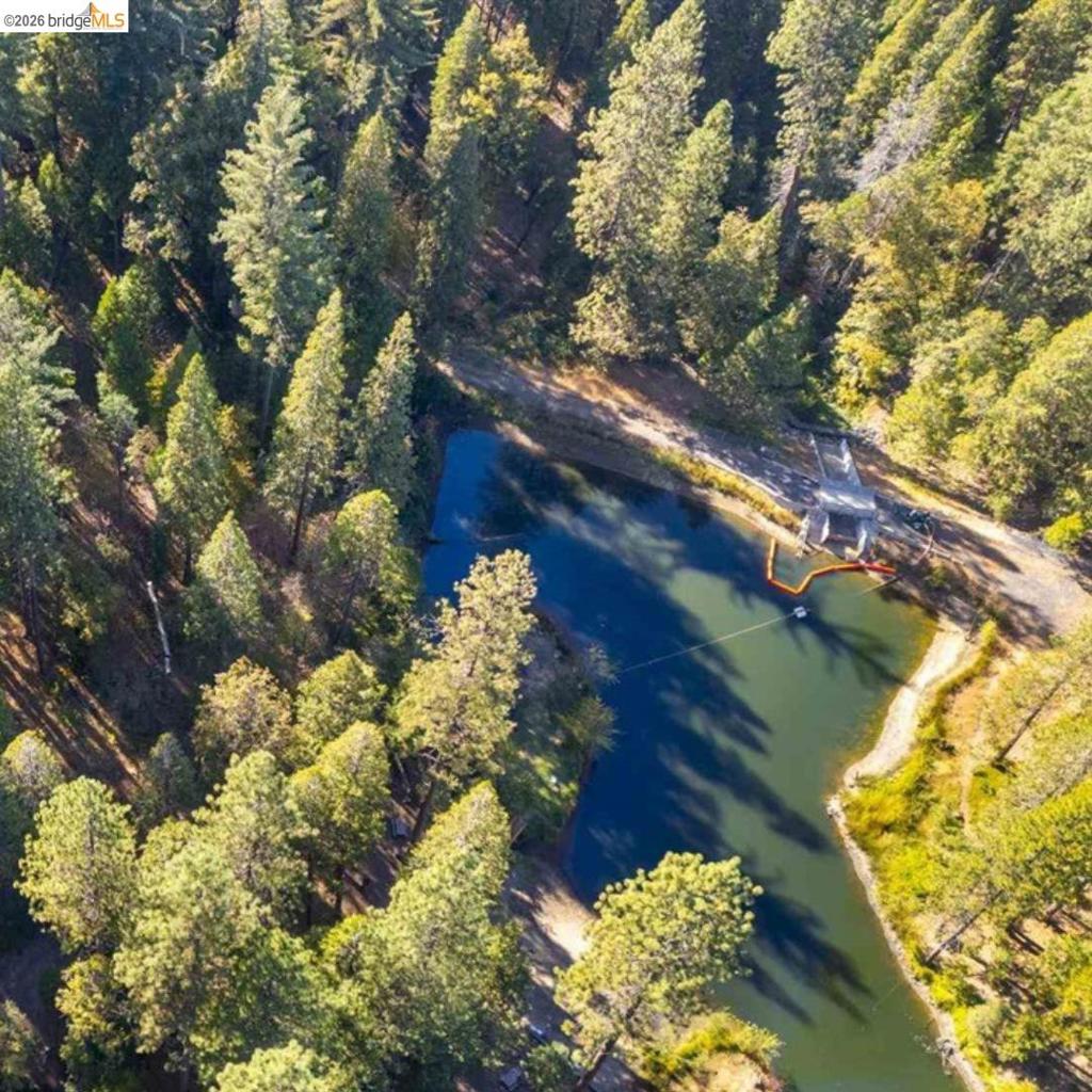 19342 Superior Dr, Twain Harte, CA 95383