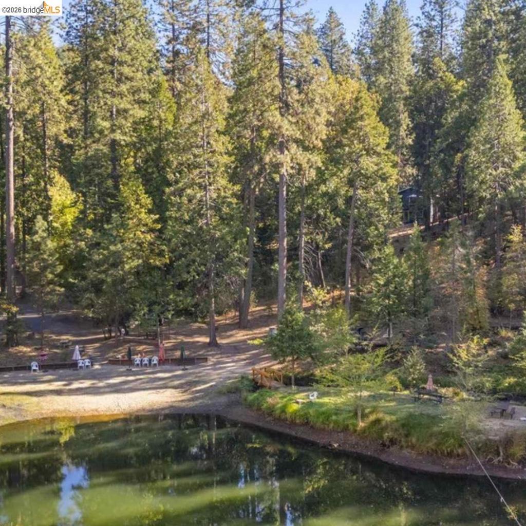 19342 Superior Dr, Twain Harte, CA 95383