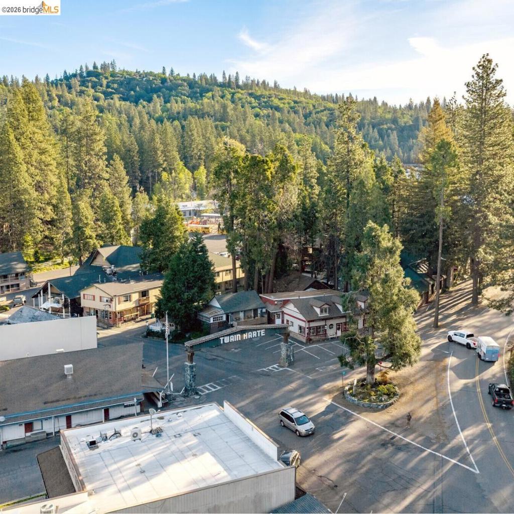 19342 Superior Dr, Twain Harte, CA 95383