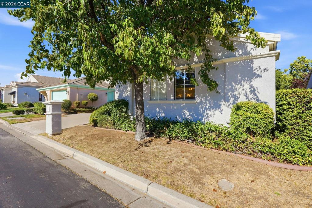 250 Winesap Dr, Brentwood (CC), CA 94513