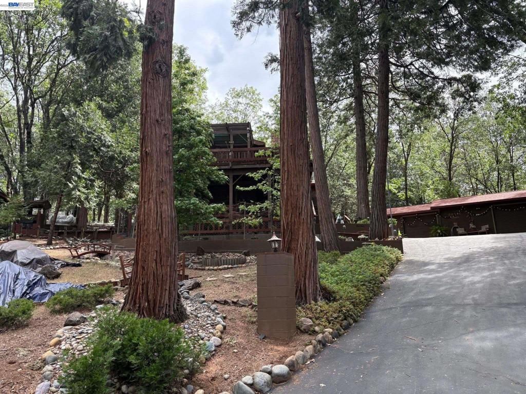 24217 Appaloosa Way, Sonora, CA 95370