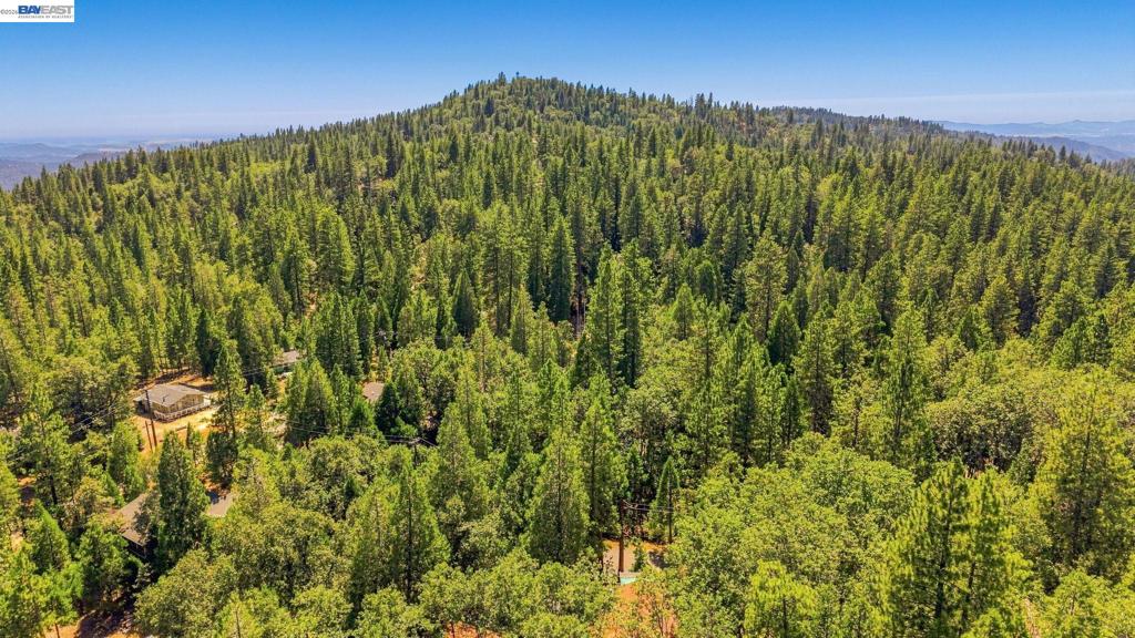 24217 Appaloosa Way, Sonora, CA 95370