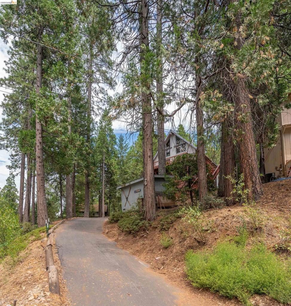 22321 Ponderosa Dr., Twain Harte, CA 95383-9576