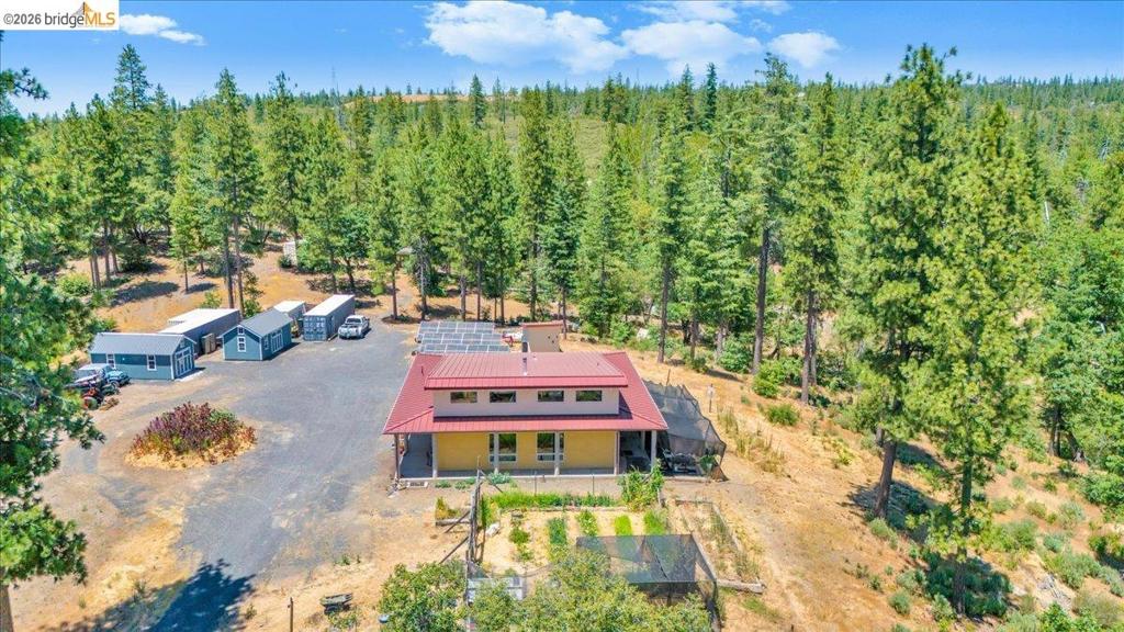 9935 Jackass creek Rd, Groveland, CA 95321