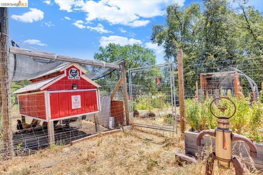9935 Jackass creek Rd, Groveland, CA 95321
