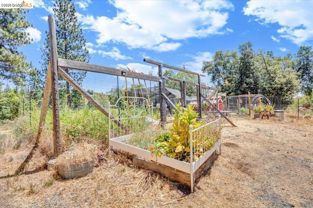 9935 Jackass creek Rd, Groveland, CA 95321