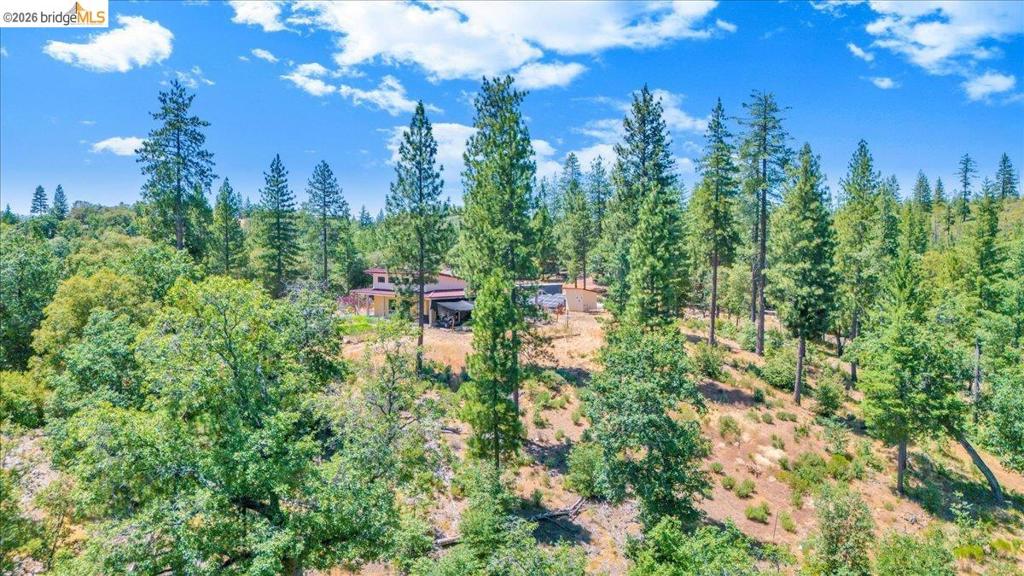 9935 Jackass creek Rd, Groveland, CA 95321