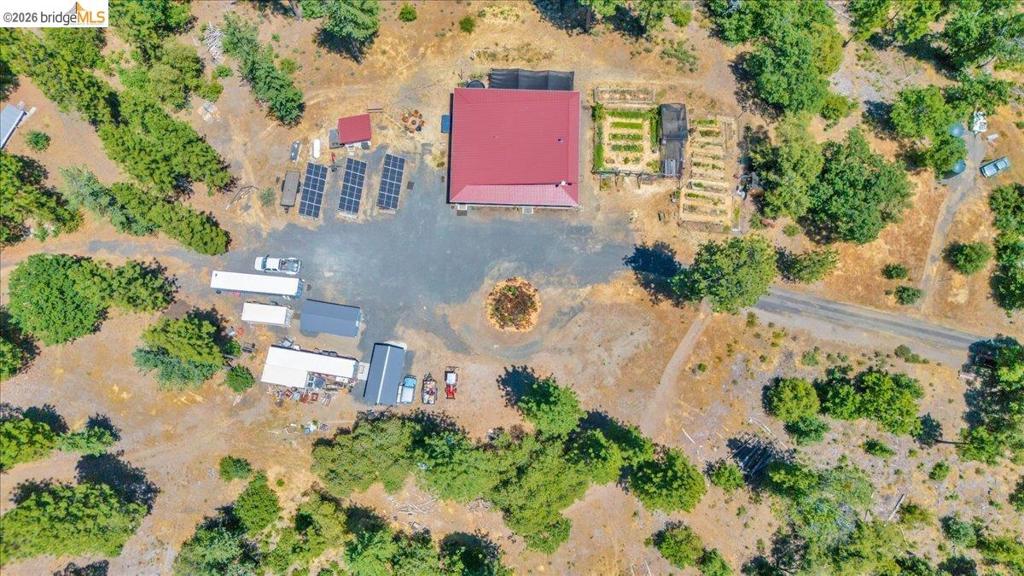 9935 Jackass creek Rd, Groveland, CA 95321