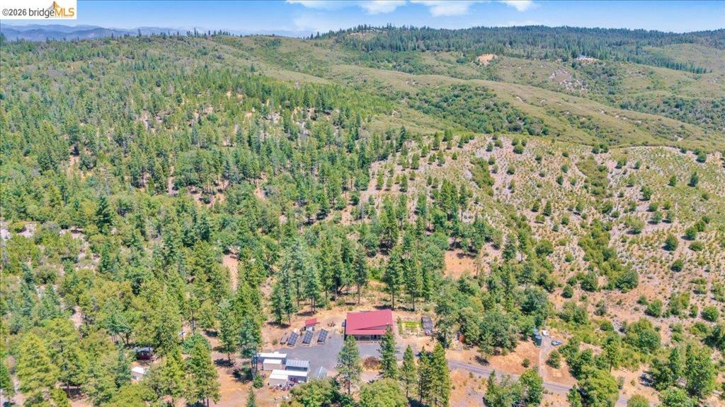 9935 Jackass creek Rd, Groveland, CA 95321