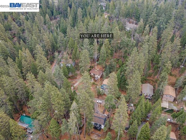 22461 Ponderosa Dr, Twain Harte, CA 95383