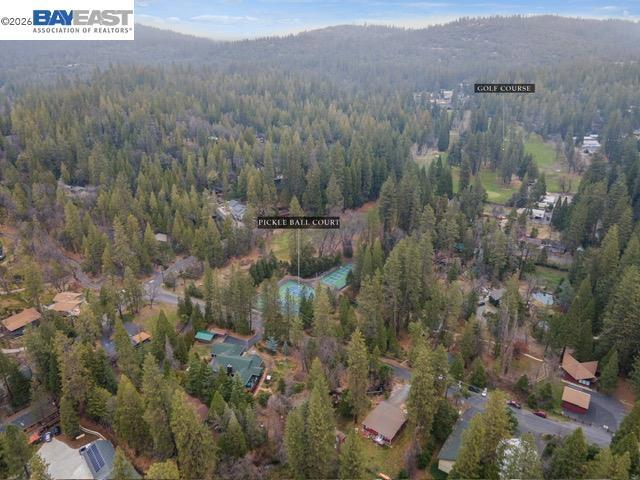 22461 Ponderosa Dr, Twain Harte, CA 95383