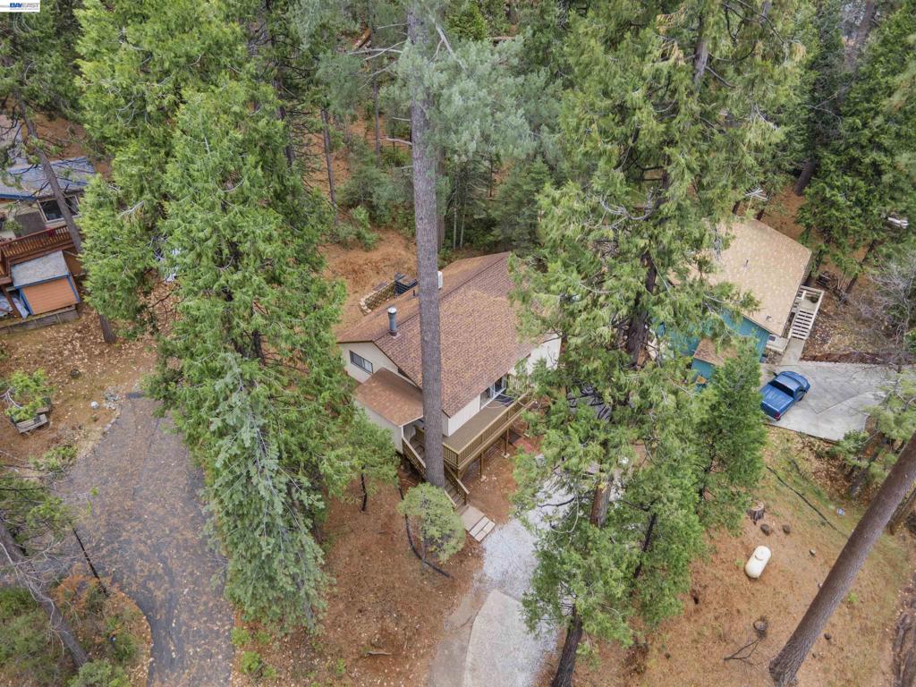 22461 Ponderosa Dr, Twain Harte, CA 95383