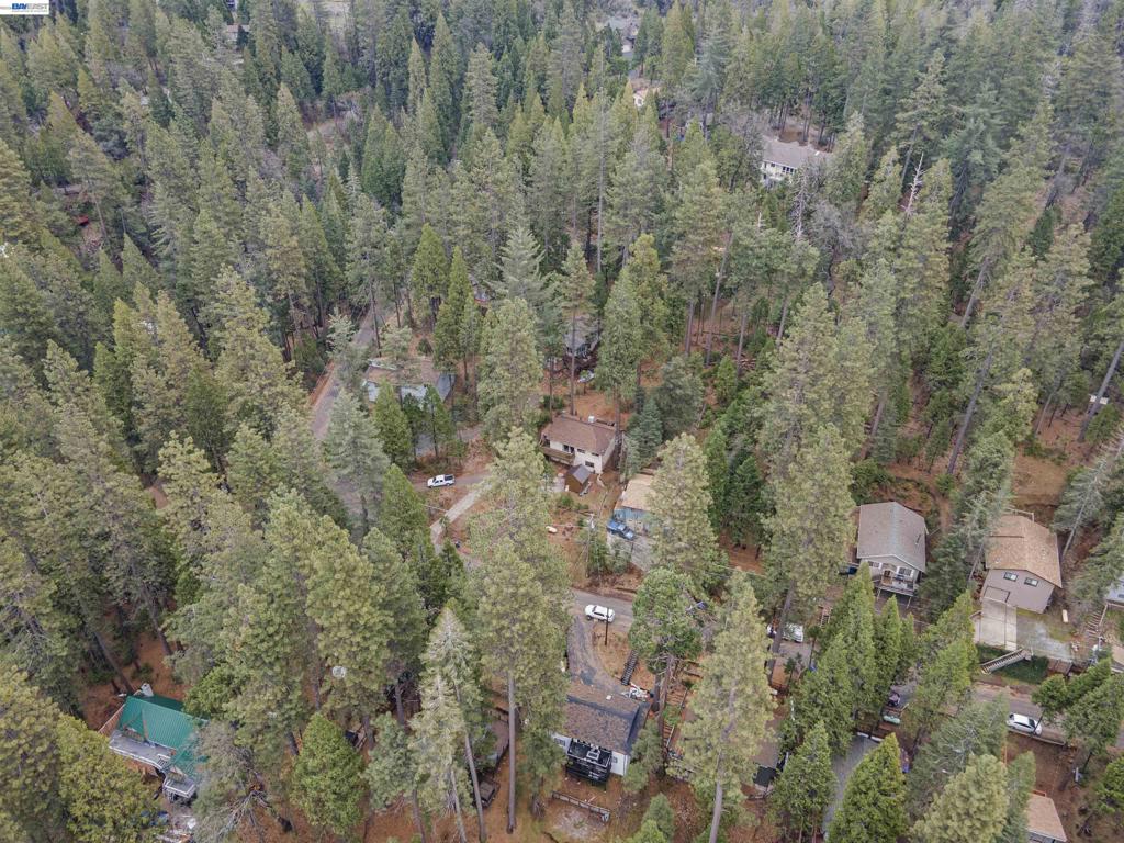 22461 Ponderosa Dr, Twain Harte, CA 95383
