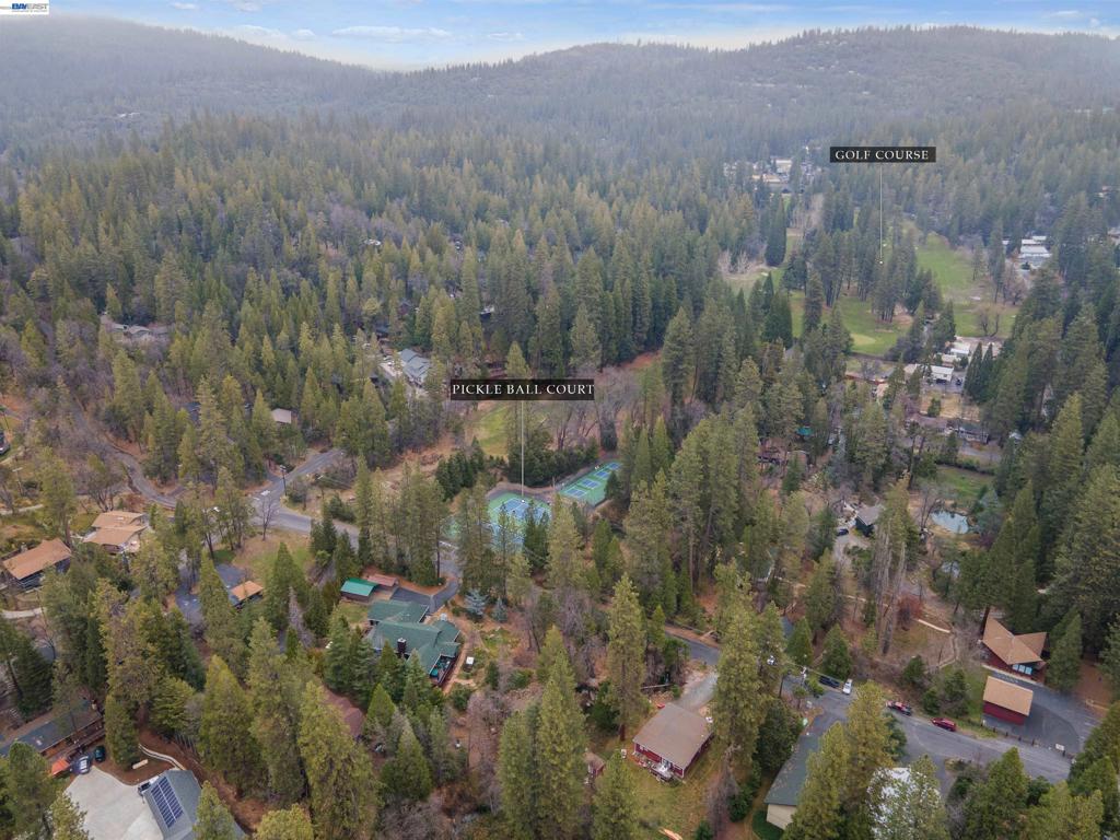 22461 Ponderosa Dr, Twain Harte, CA 95383