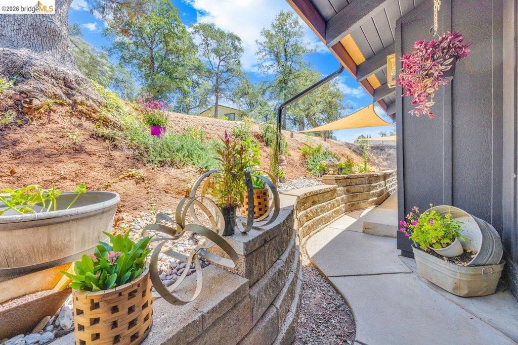 19813 Via Redonda Rd, Sonora, CA 95370-0000