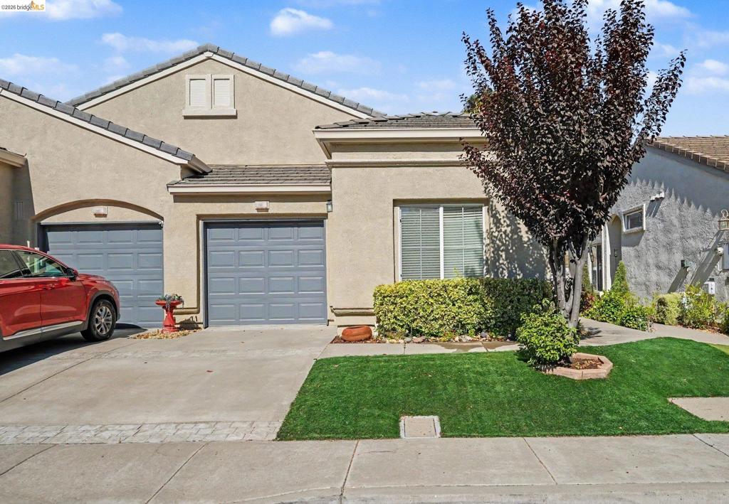 473 Desert Gold Ter, Brentwood (CC), CA 94513