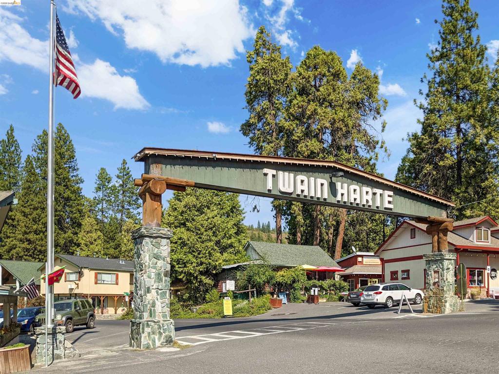22790 Bret Harte Dr, Twain Harte, CA 95383