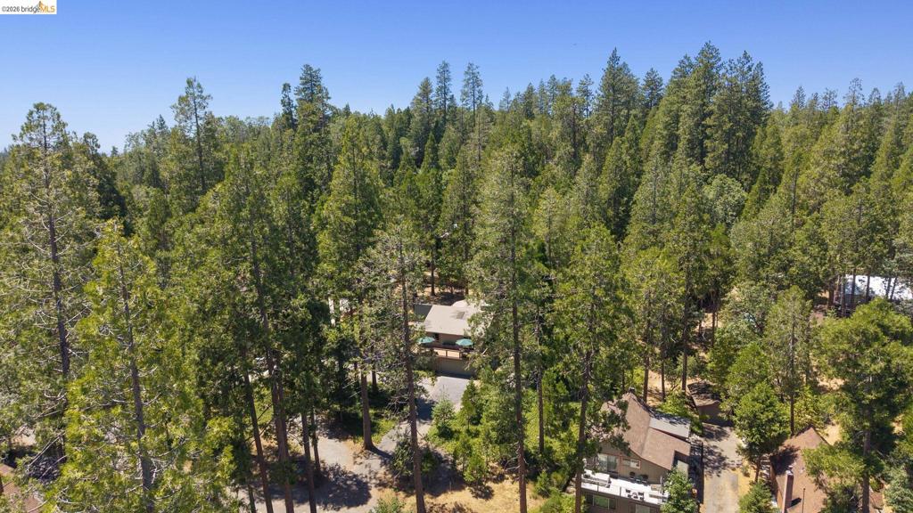 22790 Bret Harte Dr, Twain Harte, CA 95383