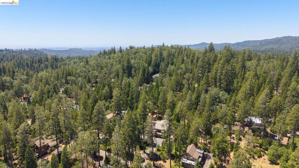 22790 Bret Harte Dr, Twain Harte, CA 95383