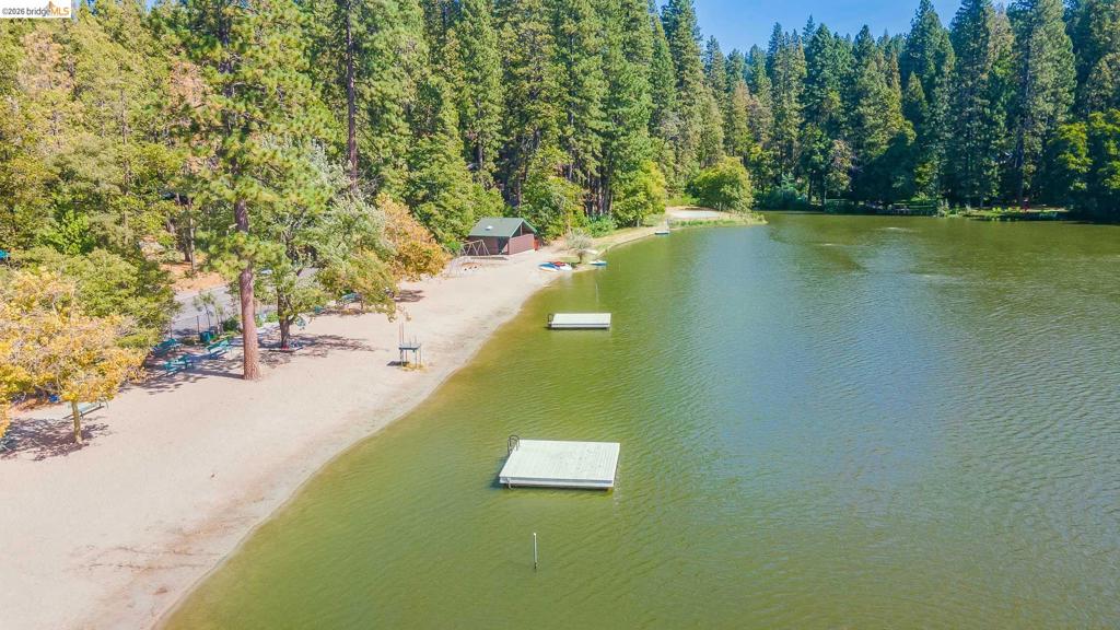 22790 Bret Harte Dr, Twain Harte, CA 95383