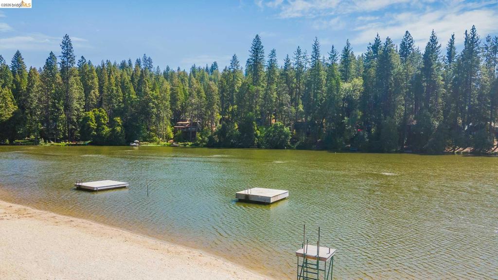 22790 Bret Harte Dr, Twain Harte, CA 95383