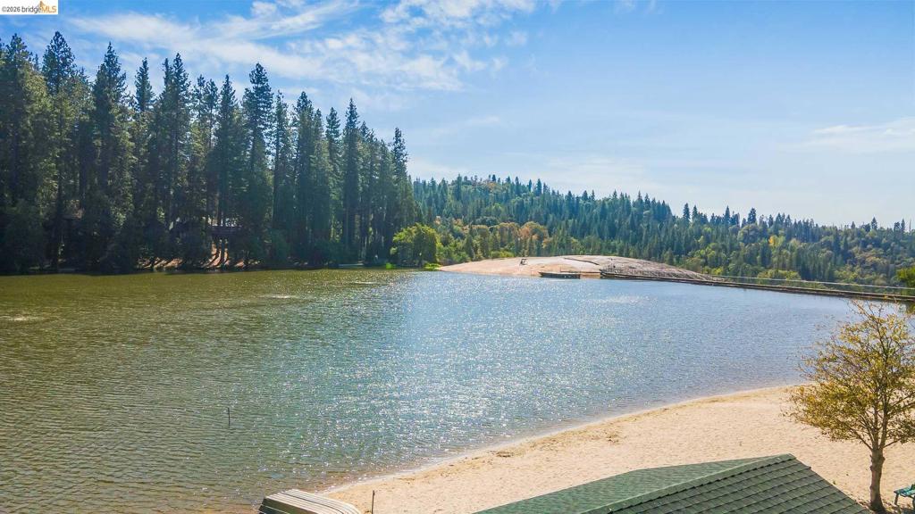 22790 Bret Harte Dr, Twain Harte, CA 95383