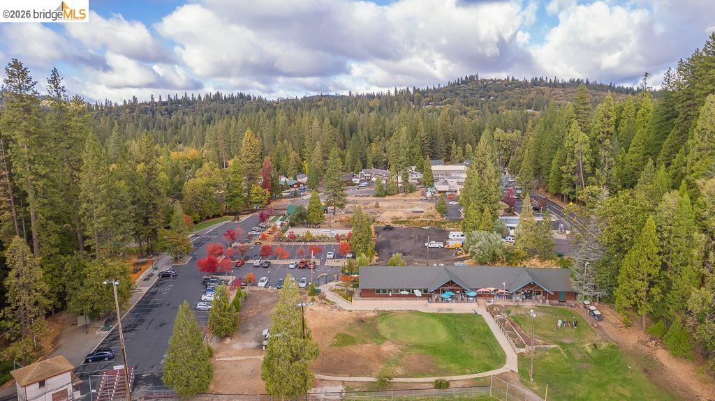 22790 Bret Harte Dr, Twain Harte, CA 95383