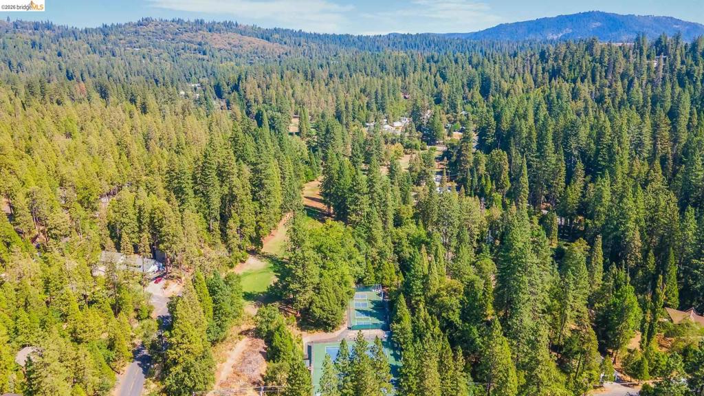 22790 Bret Harte Dr, Twain Harte, CA 95383