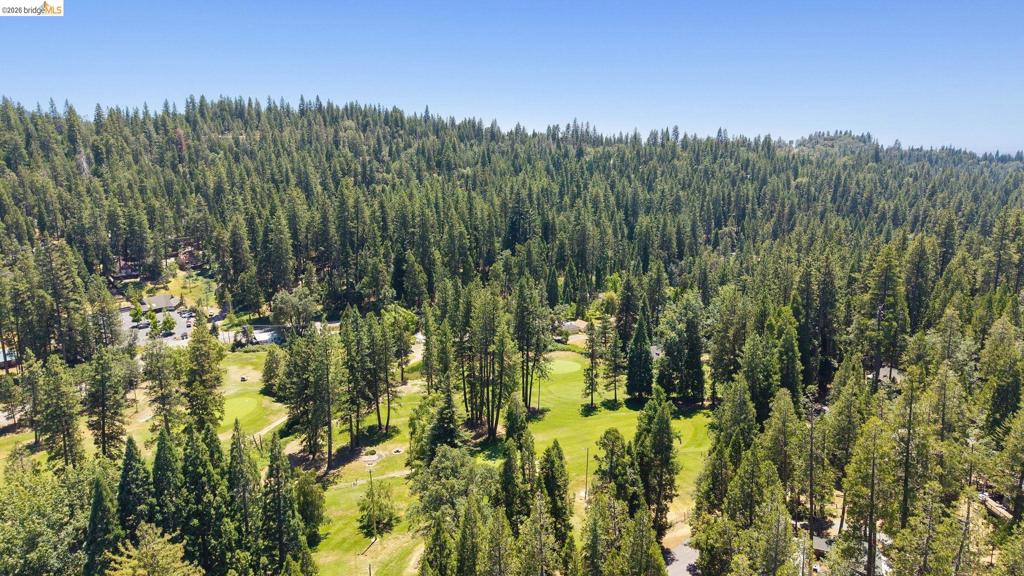 22790 Bret Harte Dr, Twain Harte, CA 95383